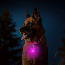 Load image into Gallery viewer, Usb Charging Glowing Dog Collar With Pendant Detachable
