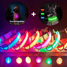 Load image into Gallery viewer, Usb Charging Glowing Dog Collar With Pendant Detachable
