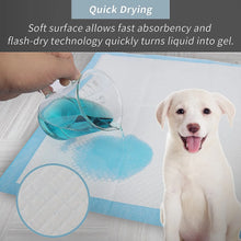 Load image into Gallery viewer, Super Absorbent Pet Diaper Training Pee Pads
