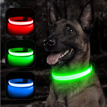 Load image into Gallery viewer, Usb Charging Glowing Dog Collar With Pendant Detachable
