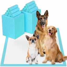 Load image into Gallery viewer, Super Absorbent Pet Diaper Training Pee Pads
