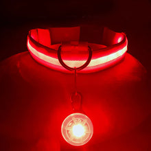 Load image into Gallery viewer, Usb Charging Glowing Dog Collar With Pendant Detachable
