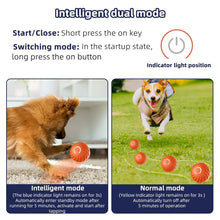 Load image into Gallery viewer, Dog Ball Electronic Interactive Toy
